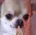 836404