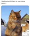 836434