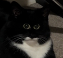 836675