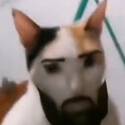 836879