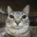 837039