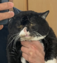 837242