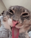 839083