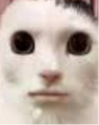 839491