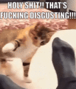 839631