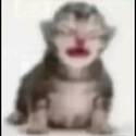 845250