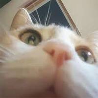 845533