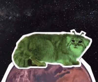 25572