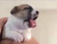 7550
