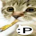 >>>/rnb/26233