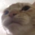 148021