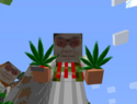 >>>/weed/1793