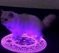 21659
