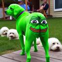 21813