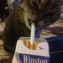 6027